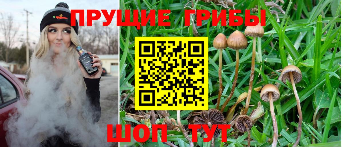 Галлюциногенные грибы мухоморы  Вход с VPN  Волгоград 